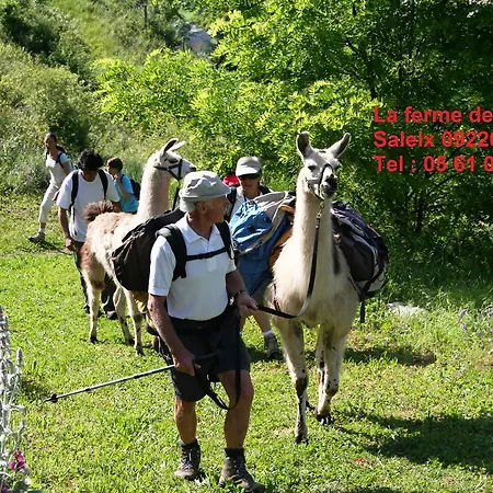 Bed & Breakfast Chambres D'hotes La Pommeraie Tarascon-sur-Ariege